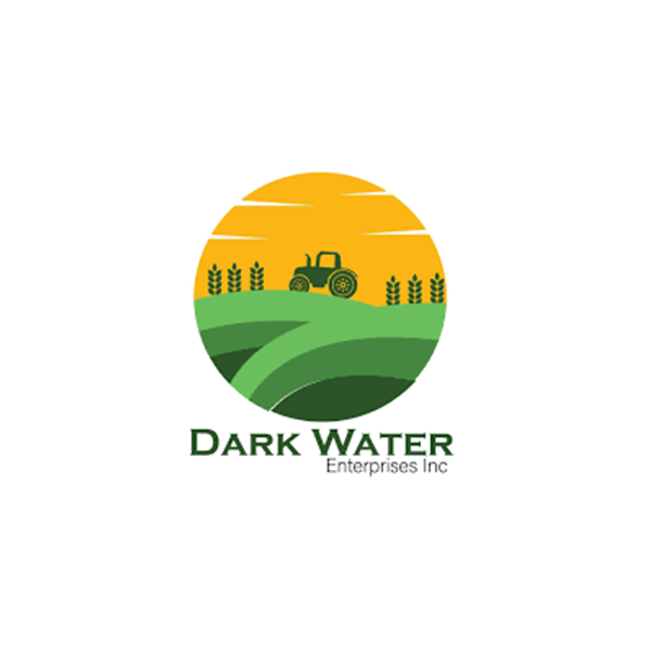 Dark Water Enterprises Inc Logo